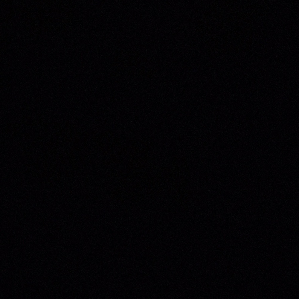 12/29/2025